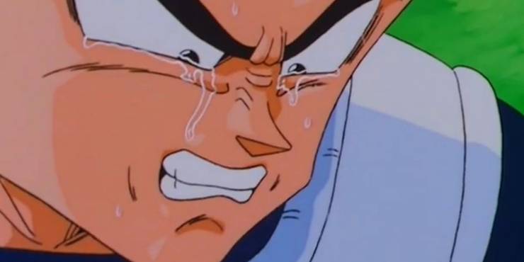 Dragon Ball 10 Ways Goku Made Vegeta A Better Person Dragon Ball 10 Ways Goku Made Vegeta A Better Person